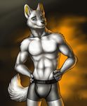  abs anthro biceps blue_eyes boxers bulge canine claws clothing dog fur green_eyes grey_fur grin heterochromia male mammal muscles pecs pinup plain_background pose smile solo standing toned topless underwear vallhund white_fur 