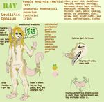  cannabis coppahhead dreadlocks drugs female freckles mammal marijuana marsupial model_sheet opossum pouch solo 