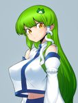  breasts covered_nipples detached_sleeves frog_hair_ornament green_hair hair_ornament kochiya_sanae large_breasts long_hair looking_at_viewer simple_background snake_hair_ornament solo space_jin touhou yellow_eyes 