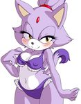  amber_eyes black_nose blaze_the_cat blush breasts cat cleavage clothed clothing feline female fur hair looking_at_viewer mammal navel plain_background ponytail purple_fur purple_hair sega smile solo sonic_(series) sonicboom53 standing swimsuit thick_thighs thighs voluptuous white_background white_skin wide_hips 