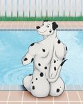  big butt canine dalmatian dog gay male vamplust 