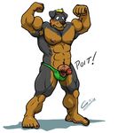  abs anthro balls biceps big_feet big_muscles blonde_hair blush canine chestnuts_(artist) dog embarrassed flexing hair human_feet humanoid_penis male mammal muscles nude pecs penis plain_background plantigrade pose rottweiler solo speedo standing swimsuit thong toes underwear wardrobe_malfunction white_background 