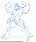  anthro biceps bulge canine collar cooner dog fangs flexing fur grin husky looking_at_viewer male mammal muscles open_mouth pecs pose smile solo speedo standing swimsuit toned tongue tongue_out topless underwear 