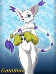  breasts cat digimon digimorph feline female front_view gatomon gloves mammal nude pussy solo tail_ring yiffmasters 