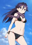  bikini bird black_hair crow hashi kuroki_rei long_hair purple_eyes scarf solo swimsuit vividred_operation 
