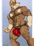  aaron_(artist) abs anthro balls biceps big_balls big_muscles big_penis blonde_hair blue_background brown_fur brown_nose bulge canine chain claws clenched_teeth doberman dog fangs flaccid flexing fur green_eyes hair jockstrap looking_at_viewer male mammal muscles necklace nipples pawpads paws pecs penis plain_background pose solo speedo standing swimsuit tan_fur tattoo teeth toned topless underwear 