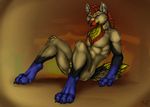  abstract_background anthro balls blue_eyes brown_fur canine claws digitigrade fur hair hindpaw male mammal namarx7 neyaraxis nude paws penis red_hair sheath sitting solo toes wolf 