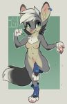  2018 anthro blue_eyes blush breasts canine clothing ear_piercing female fur grey_fur hair legwear looking_at_viewer mammal multicolored_fur navel nipples nude paws piercing pink_nose pussy reign-2004 simple_background socks solo standing tan_fur toeless_socks two_tone_fur white_hair 