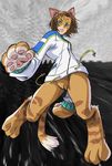  bloody_roar tagme uriko_nonomura 