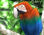  jungle lowres macaw nature no_humans original palm_tree parrot red-and-green_macaw shingyouji_tatsuya tree 