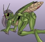  dungeons_&amp;_dragons female insect presenting pussy thri-kreen 