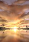  cloudy_sky jungle nature no_humans original palm_tree reflection scenery shingyouji_tatsuya sky star_(sky) sun sunrise tree water 