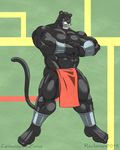  abs anthro beard biceps big big_muscles black_fur black_nose bracelet cat clothing facial_hair fairy_tail feline flexing fur jewelry loincloth male mammal muscles open_mouth panther panther_lily pantherlily pecs pose reclamon red_eyes solo standing toned tongue topless underwear whiskers 