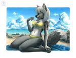  4_toes beach bikini black_nose blue_sky bra_strap canine chest_tuft claws clothed clothing cloud cute day daytime detailed_background ear_tuft female fluffy_tail fur grey_body grey_fur hair kacey kneeling looking_at_viewer mammal markings multi-colored_body multicolor_fur navel open_mouth outside pawprint plantigrade playful rock sand sea seaside skimpy sky smile solo swimsuit thighs tight_clothing tuft two_tone_fur undressing water wave white_fur white_hair wolf yellow_eyes 