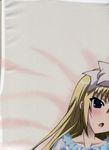  dakimakura partial_scan seitokai_no_ichizon shiina_mafuyu stitchme 