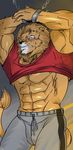  abs anthro biceps big_muscles blush brown_fur clothing feline fur gay hentist lion male mammal muscles nipples pants pecs pose shirt shirt_lift shishimaru_genjurou solo toned 