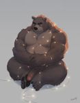  2018 anthro belly brown_fur christmas erection fur holidays humanoid_hands male mammal mixvariety moobs nipples overweight overweight_male penis simple_background sitting solo ursine 