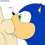  balls blue_hair duo erection fellatio gay green_eyes habbodude hair hedgehog human male mammal oral oral_sex penis plain_background sega sex sonic_(series) sonic_the_hedgehog white_background 