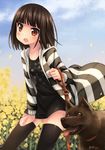  :o akemiho_tabi_nikki black_hair black_legwear dog dog_walking fukube_tamaki hood hoodie kouno_hikaru leash looking_at_viewer open_clothes open_hoodie open_mouth red_eyes short_hair solo striped striped_hoodie thighhighs zettai_ryouiki 