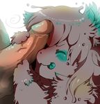  balls big_penis eyes_closed fluffy male miri nuzzling pawjob penis spots spotted_fur tongue tongue_out vein 