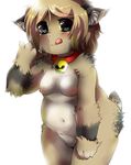  belly blush breasts brown_fur chubby collar female fluffy fur miri plain_background pussy spots tongue tongue_out white_background 