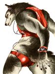  cute ipod male mammal panties red_panties red_underwear solo underwear unknown_artist were werewolf wolf zin 