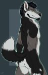  2018 5_fingers anthro black_fur black_hair black_nose canine digital_media_(artwork) facial_hair fangs fur green_eyes grey_fur hair hand_on_butt looking_at_viewer male mammal muscular muscular_male nude patrikthedog pecs pinup pose simple_background smile solo standing white_fur wolf 