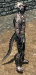  argonian elder scalie scrolls the_elder_scrolls the_elder_scrolls_v:_skyrim v video_games 