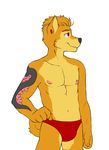  black_nose canine dog howie_(vasuki) male mammal nipple_piercing nipples piercing red_eyes shiba_inu solo speedo swimsuit tattoo topless vasuki 