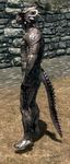  argonian elder scalie scrolls the_elder_scrolls the_elder_scrolls_v:_skyrim v video_games 