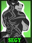  badge biceps big_muscles canine crossed_arms dog fur husky looking_at_viewer looking_back male mammal muscles nude segy solo 