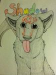  black_schlera canine cub fursona large_ears mammal name_in_picture nonsexual outdated pink_tongue scythe silver_eyes sketch tattoo tiny_me tongue wolf young 