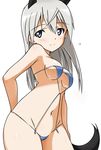  animal_ears bikini blush breasts covered_nipples eila_ilmatar_juutilainen long_hair medium_breasts navel purple_eyes silver_hair smile solo strike_witches swimsuit tail tokiani world_witches_series 