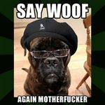  canine dog eyewear fiction glasses hat humor pulp samuel_jackson 