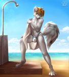  bagelcollector beach brown_hair clothed clothing four_toes fur g-string grey_fur hair male public seaside shower skimpy smile solo swimsuit towel underwear white_fur white_wolf yellow_eyes 