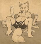  canine chubby dildo fox looking_at_viewer male mammal sean_o&#039;hare sean_o'hare sex_toy solo topless underwear 