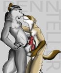  balls canine chubby duo erection eyes_closed ferret frottage gay hair humanoid_penis male mammal mustelid nipples nude nuzzling penis sheath standing straydog wolf 