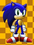  blue_hair gloves green_eyes hair hedgehog looking_at_viewer male mammal sega sonic_(series) sonic_the_hedgehog sonictopfan 