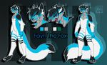  black black_fur black_hair body_markings canine claws fayn fox fur green_eyes hair invalid_color lapres looking_at_viewer male mammal markings model_sheet nude pose solo standing stripes white_fur 