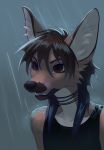  2018 anthro black_lips black_nose brown_eyes brown_hair canine clothed clothing coyote digital_media_(artwork) hair mammal melloque solo 