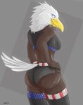absurd_res accipitrid accipitriform american_eagle american_flag_bikini avian bald_eagle bird blue_eyes clothed clothing eagle female feral hand_on_hip hi_res looking_at_viewer rear_view sea_eagle solo stars_and_stripes tail tarkish underwear united_states_of_america