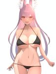  1girl :d absurdres animal_ear_fluff animal_ears bare_shoulders bikini black_bikini breasts collarbone cowboy_shot extra_ears fox_ears fox_girl highres indie_virtual_youtuber kamishiro_natsume kitsune large_breasts long_hair looking_at_viewer navel open_mouth purple_hair red_eyes simple_background smile solo stomach swimsuit teeth upper_teeth_only white_background yuuhi_(yuuvi83) 