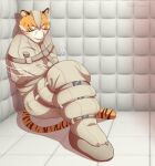 anthro beastars bill_(beastars) bound felid fur hi_res legs_tied male mammal muzzle_(object) muzzled orange_body orange_fur padded_room pantherine restrained restraints solo straitjacket striped_body stripes tiger tommysamash