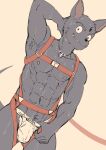 abs anthro armpit_hair bodily_fluids body_hair bulge canid canine canis domestic_dog harness jewelry ken_(leeksaltboy) leeksaltboy male mammal muscular muscular_male necklace pecs solo sweat