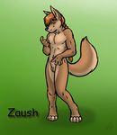  beckoning canine dingo looking_at_viewer male mammal nateday nude sheath solo zaush_(character) 