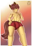 blush brown_eyes brown_hair brown_tail bulge clothing equid equine hair hand_on_chest hand_on_hip hi_res horse looking_at_viewer looking_down male mammal pony red_clothing red_underwear shyder smile smiling_at_viewer solo tail underwear