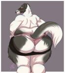 anthro big_butt borzoi bottomwear butt canid canine canis clothing domestic_dog dressing female floppy_ears fur grey_background hi_res huge_butt hunting_dog lavenderpandy mammal overweight overweight_anthro overweight_female panties shirtless shorts sighthound simple_background solo thick_thighs torn_clothing torn_panties torn_underwear underwear white_body white_fur