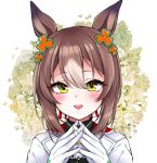  1girl animal_ears blush brown_hair clover_hair_ornament fine_motion_(umamusume) flower gloves green_eyes hair_between_eyes hair_ornament highres horse_ears horse_girl looking_at_viewer multicolored_hair open_mouth petals portrait short_hair simple_background smile solo two-tone_hair umamusume white_background white_flower white_gloves white_hair yoma_(lycoris109) 