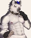  1boy abs animal_collar arknights bara black_gloves collar commentary eyebrow_piercing fang fingerless_gloves furry furry_male gloves grey_eyes highres hyena_boy looking_ahead male_focus male_underwear multicolored_hair muscular muscular_male navel nipples open_mouth p7ywirzyw8lesuc pectorals piercing pubic_hair pubic_hair_peek solo spot_(arknights) streaked_hair sweatdrop topless_male underwear white_background white_male_underwear 
