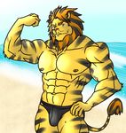  abs anthro beach biceps big_muscles canine feline fur hair hentist lion lionor male mammal muscles pecs pose sea seaside solo swimsuit vein water 